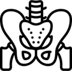 Hip Replacement & Treatment in Pune | Dr. Vishal Patil – Orthopedic Surgeon